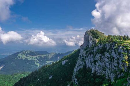 Carbon Counting Cheat Sheet Image